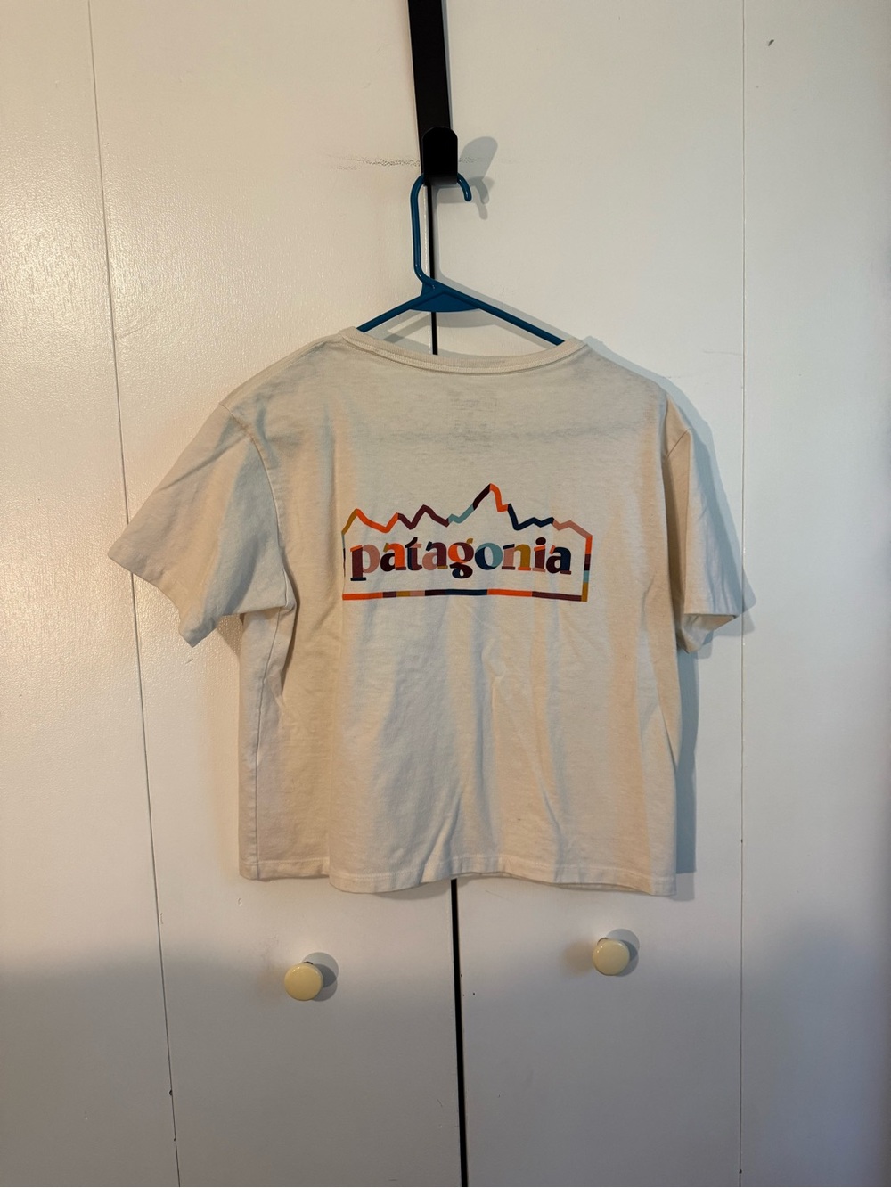 Patagonia Crop Top